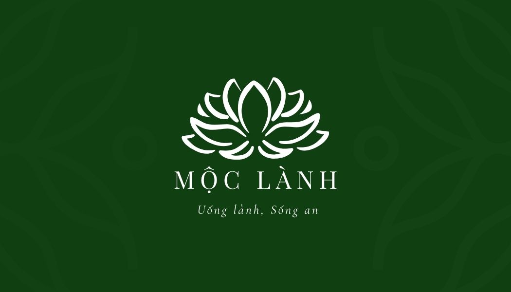 Moc lanh store