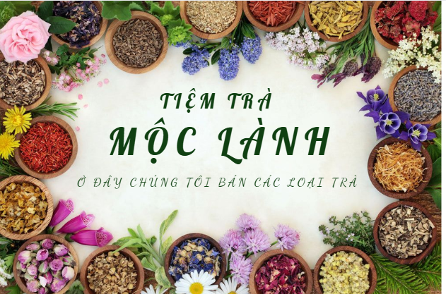 Tiềm trà Mộc lành